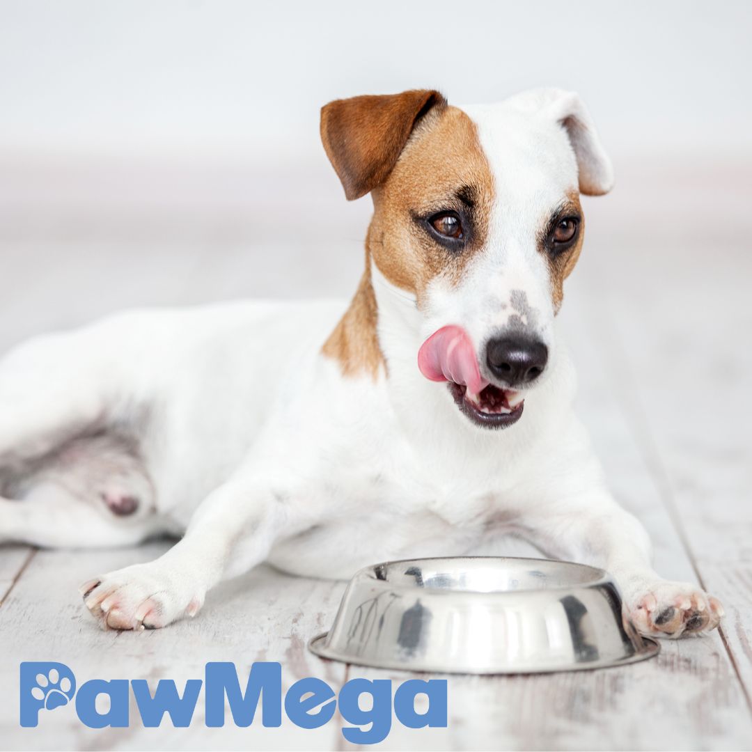 PawMega Dog Food Supplement