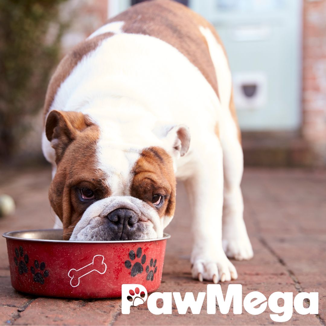 PawMega Dog Food Supplement Individual Bag